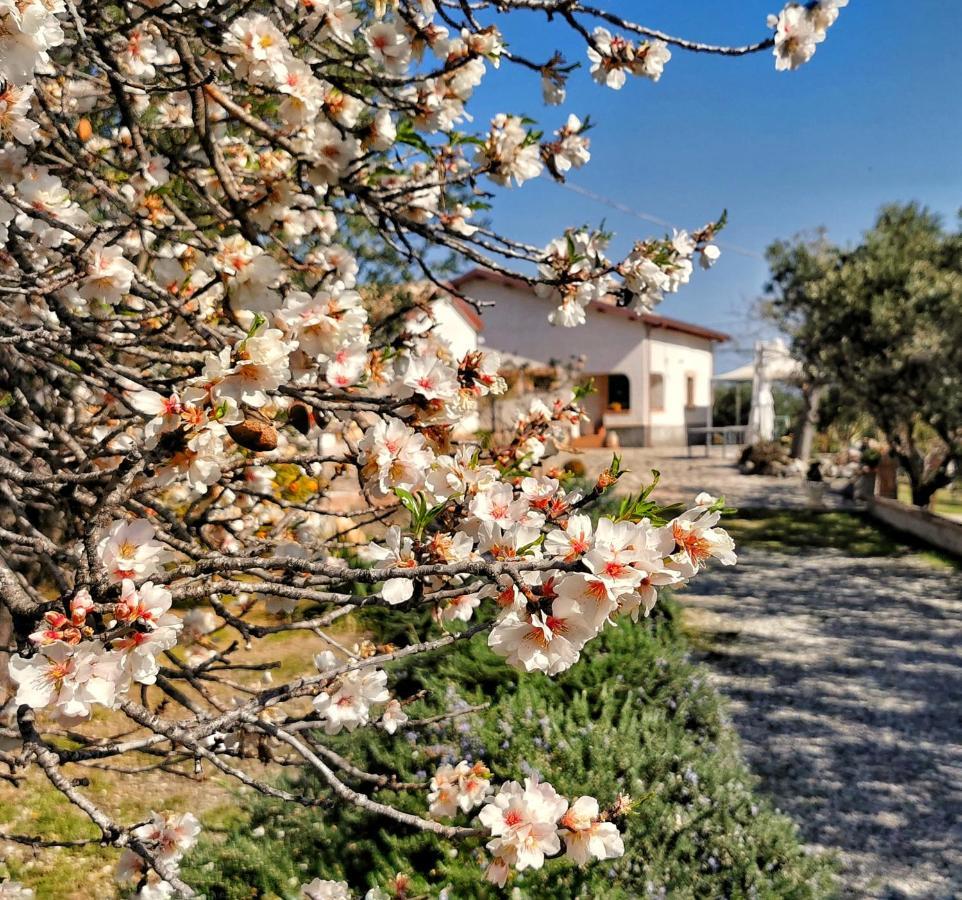 Borgo Santa Lucia Villa โกรปานี ภายนอก รูปภาพ