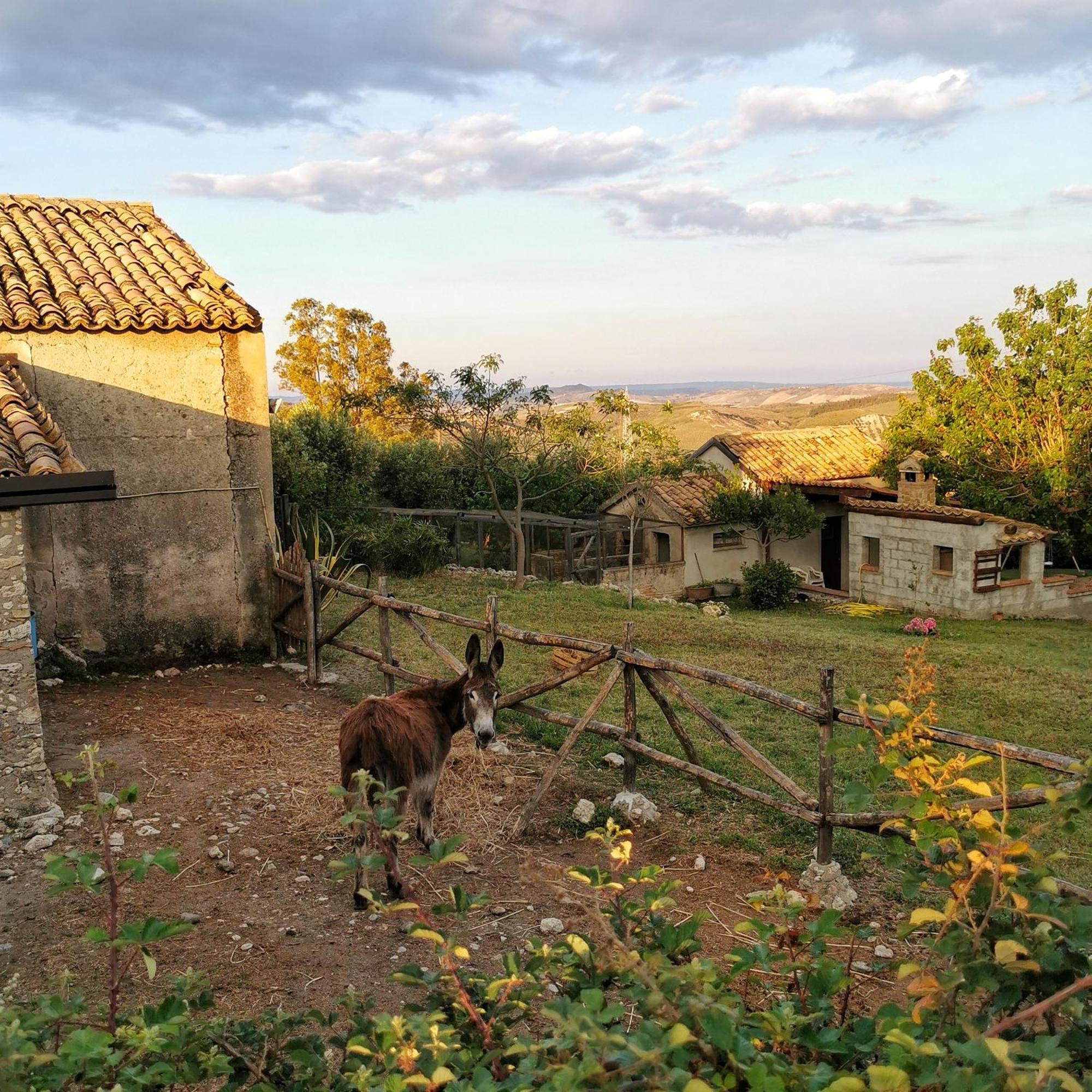 Borgo Santa Lucia Villa โกรปานี ภายนอก รูปภาพ
